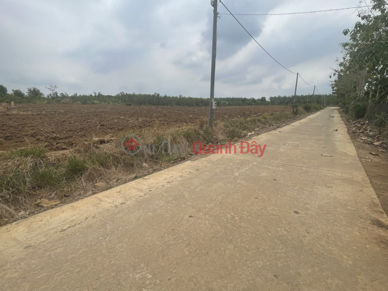 Residential Land plot 250m2 priced at 200 million | Vietnam Sales đ 200 Million