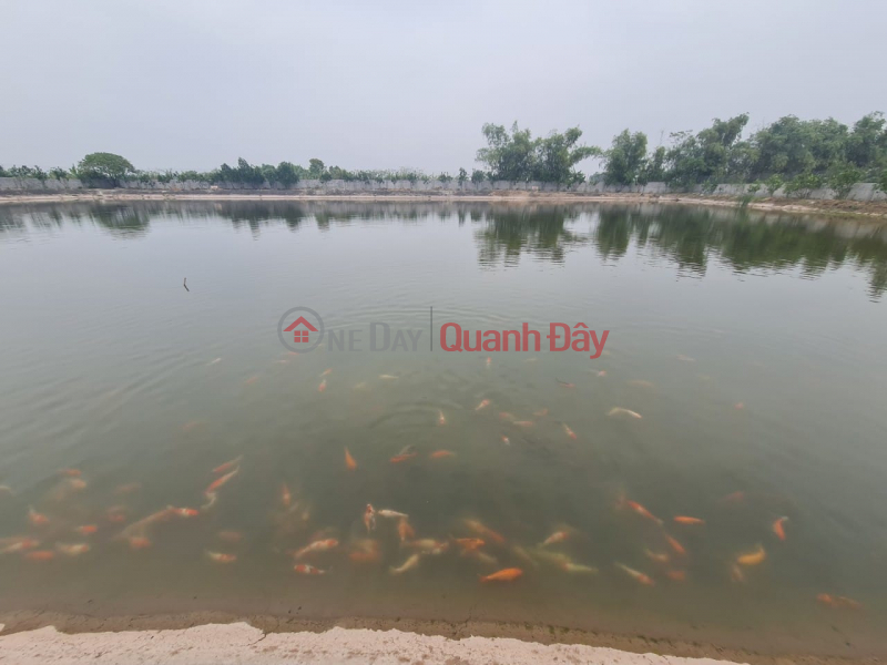 Phu Xuyen resort farm for sale - Thuong Tin, Hanoi Vietnam | Sales, đ 13 Billion