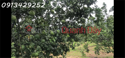 Urgent sale of a plot of land located in a densely populated residential area, at an excellent price considering its potential. _0