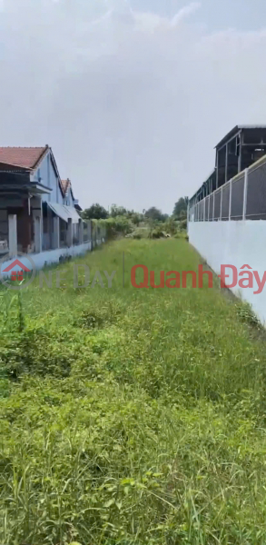 Chính Chủ Bán 1000m2 Đất Tại Ấp 5, Tân Hòa, Huyện Bến Lức, Long An Niêm yết bán