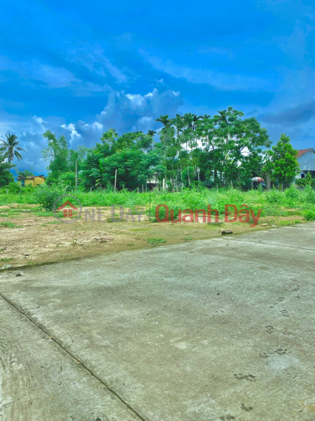 Property Search Vietnam | OneDay | Sales Listings, Land for sale near Cam Ly bridge, 3 lots adjacent to 7.5m concrete main road, price only 520 million