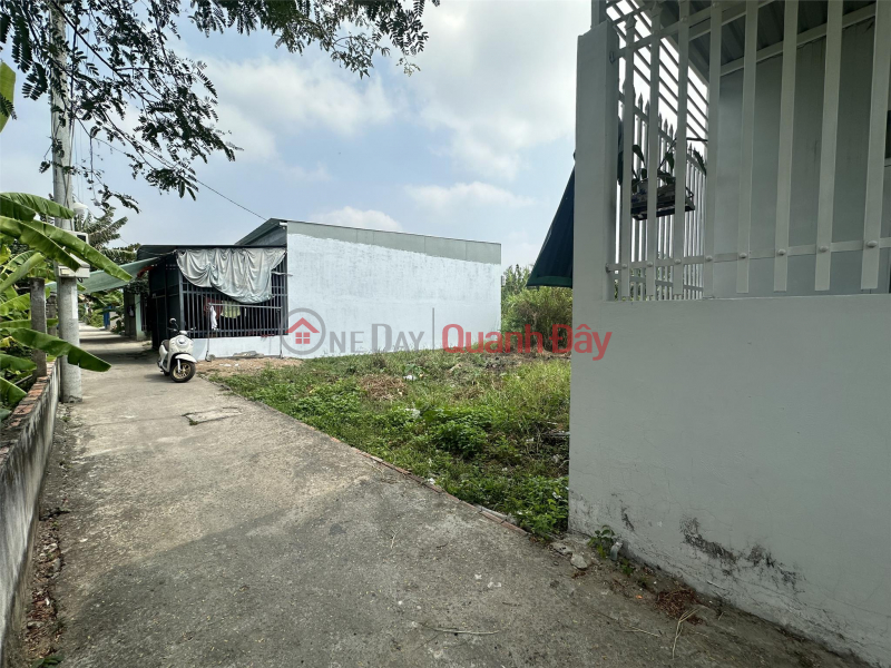 Property Search Vietnam | OneDay | Residential, Sales Listings Owner Needs to Sell Lot of Land in Beautiful Location in Binh Phong, Tan My Chanh, My Tho, Tien Giang