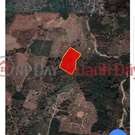 Selling a plot of land in Dien Dien, Dien Khanh _0