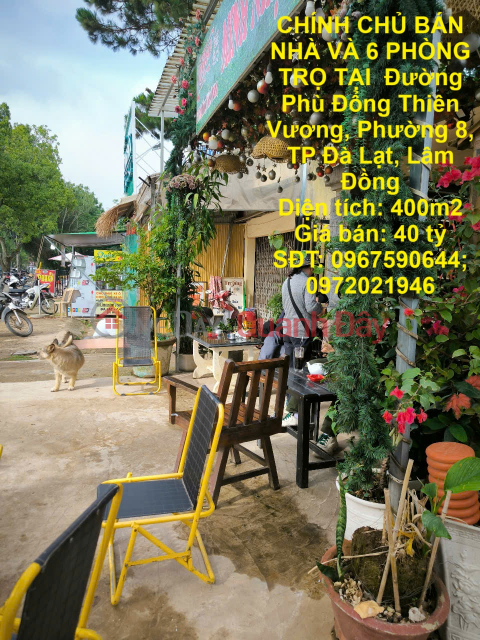 CHÍNH CHỦ BÁN NHÀ VÀ 6 PHÒNG TRỌ TẠI Đường Phù Đổng Thiên Vương, Phường 8, TP Đà Lạt. _0