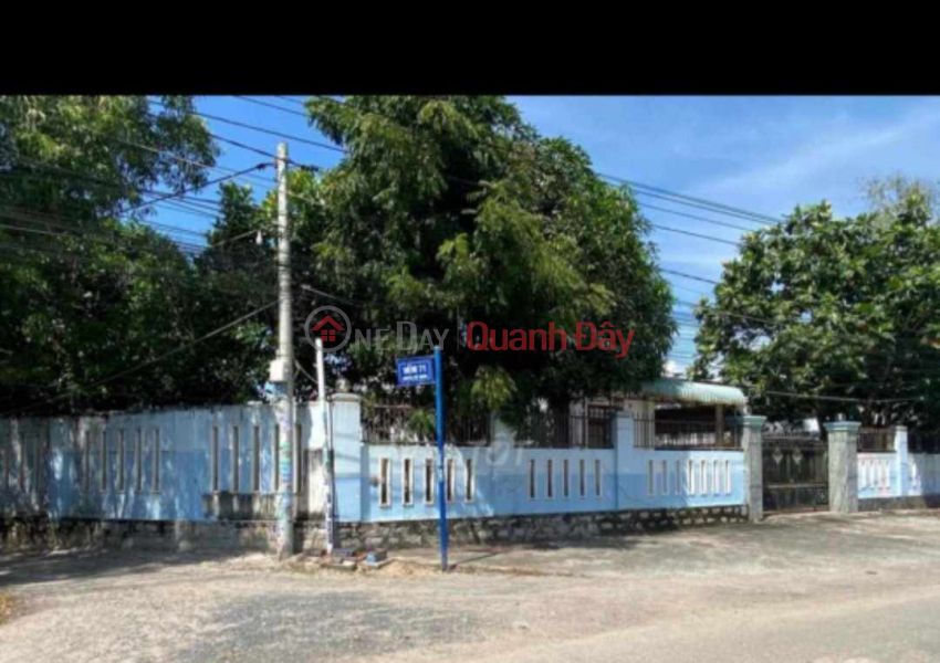 OWNER NEEDS TO SELL LAND LOT QUICKLY In Dat Do District, Ba Ria Vung Tau Province Sales Listings