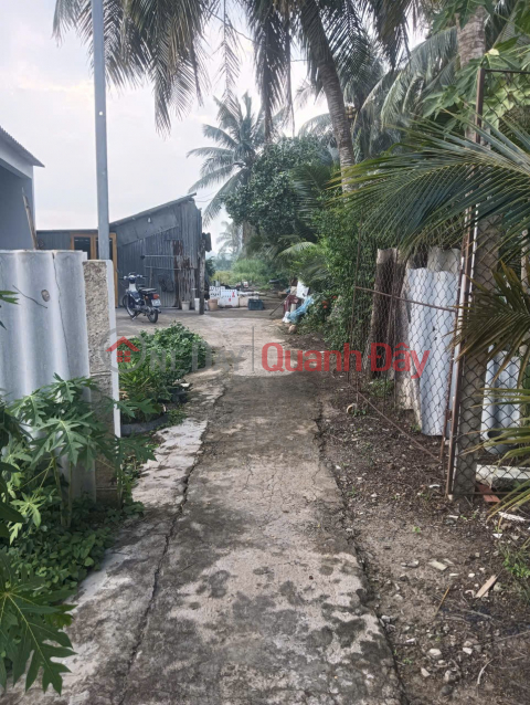 OWNER'S LAND - GOOD PRICE - Land for Sale in Long Binh Hamlet, Phu Thanh Commune, Dong Thap _0