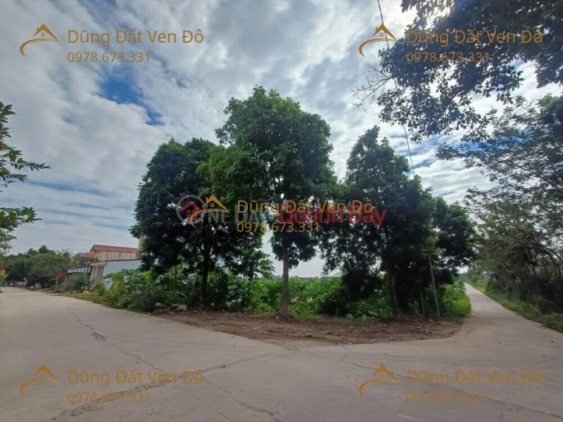, Làm ơn chọn, Nhà ở | Niêm yết bán | đ 10 triệu