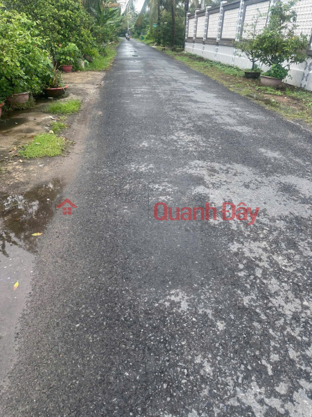 PRIME LAND - PROFITABLE INVESTMENT - Land for Sale in Xuan Dong Commune, Cho Gao District, Tien Giang Province Sales Listings