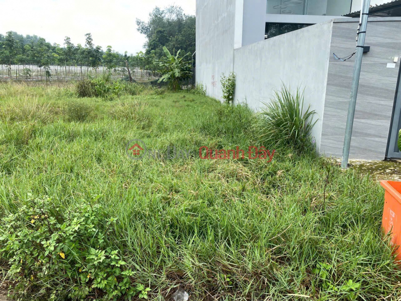 BEAUTIFUL LAND - GOOD PRICE - URGENT SALE Potential Land Lot in Hoa Loi Commune, Ben Cat, Binh Duong | Vietnam, Sales đ 1.39 Billion