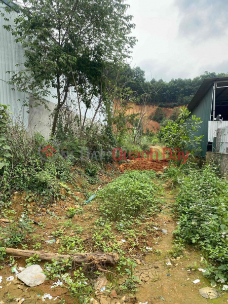 Property Search Vietnam | OneDay | Residential, Sales Listings Owner needs to sell Land Lot on Highway 37 (road to mineral spring) - Kim Phu Commune - Tuyen Quang City.