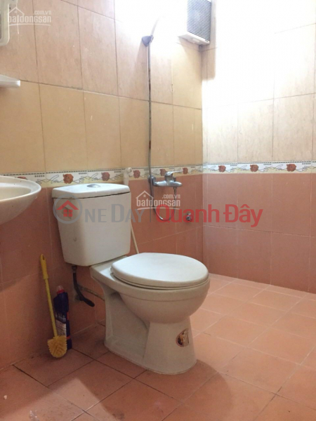 MINI APARTMENT FOR LEASE FULL DECORATION Rental Listings (DUONG-27241627)