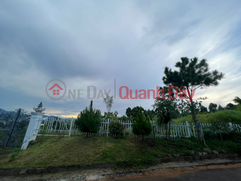 The owner urgently sells the plot of land in a beautiful location, Loc Chau Commune, City. Bao Loc, Lam Dong province. _0