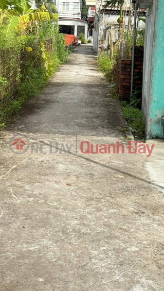 đ 630 Million Rare price 6xx million – Lot 62.3m² route 2 Binh Minh, Nam Do Son, quick profitable investment – ZALO 0567 222 555