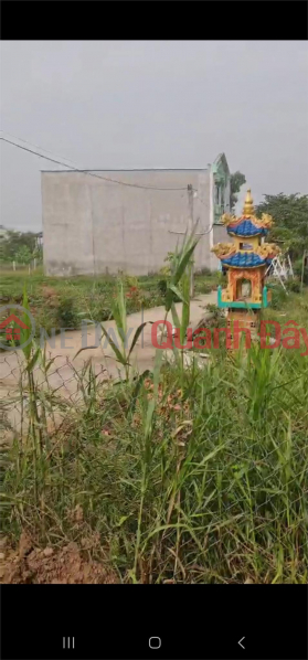 Property Search Vietnam | OneDay | Residential | Sales Listings, Owner For Sale Land Lot Beautiful Location In Phuoc Hau Commune, Can Giuoc, Long An