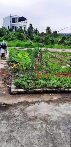 Property Search Vietnam | OneDay | Residential | Sales Listings | PRIME LAND - GREAT PRICE - Urgent Sale of a Plot of Land in a Strategic Location in Hoa Nghia, Duong Kinh, Hai Phong