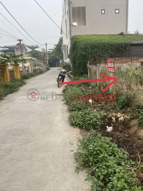 BEAUTIFUL LAND - GOOD PRICE - For Quick Sale Land Lot Prime Location Near People's Committee of Pom Lot Commune, Dien Bien _0