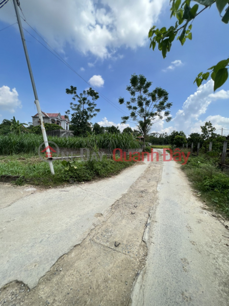 Property Search Vietnam | OneDay | Nhà ở, Niêm yết bán Lô góc diện tích vừa xinh Xuân linh - Thuỷ Xuân tiên chương Mỹ chỉ vài triệu /m
- diện tích 129m lô góc ô tô