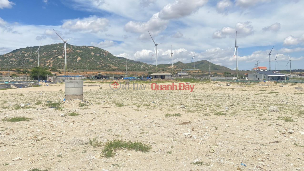 OWNER NEEDS TO SELL LAND LOT QUICKLY, Beautiful Location In Ham Thuan Nam District - Ninh Thuan Province | Vietnam, Sales, ₫ 5.3 Billion