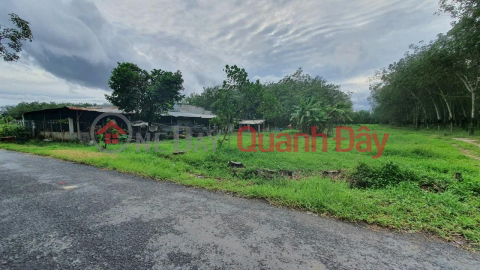 OWNER Sells Land, Beautiful Location In Don Thuan Commune, Trang Bang Town, Tay Ninh Province _0