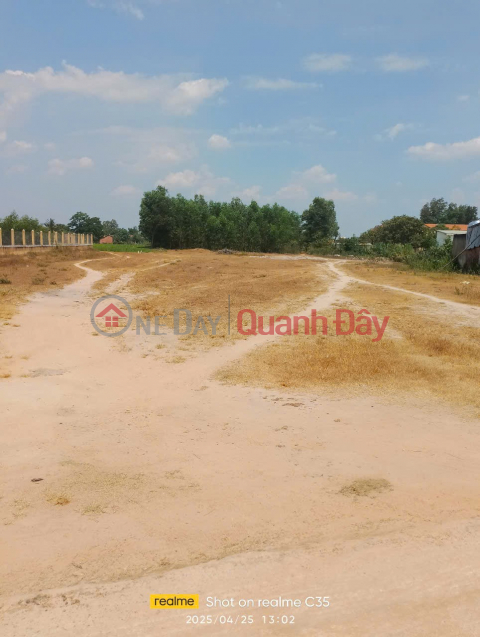 Beautiful land - good price Owner needs to quickly sell corner lot with 2 street fronts in Binh Tan commune, Tay Son district, Binh Dinh _0