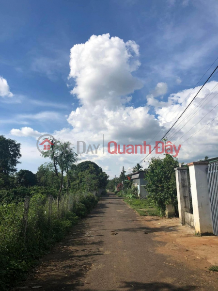 Property Search Vietnam | OneDay | , Niêm yết bán Khu dân cư đông đúc nhà mới liền kề… view cánh đồng ruộng mát mẻ