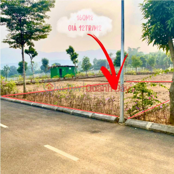 Selling a plot of land of 160m² next to Dong Xuan primary school, frontage 10m, side 16m, square to build a garden villa. Sales Listings