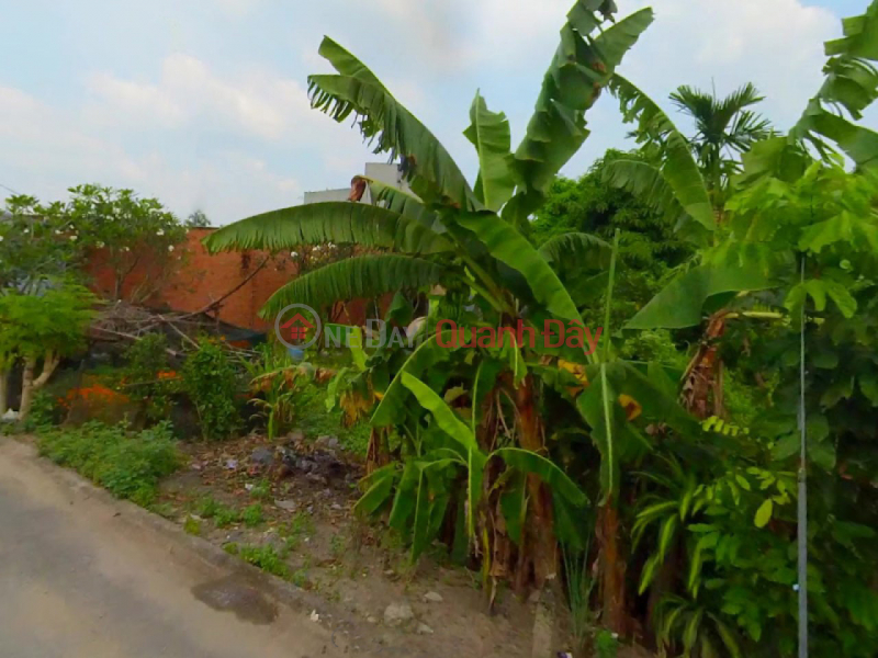 Land frontage SHR 8m road 183m2 – Thanh Loc 50 District 12 SS | Vietnam, Sales, đ 6.9 Billion