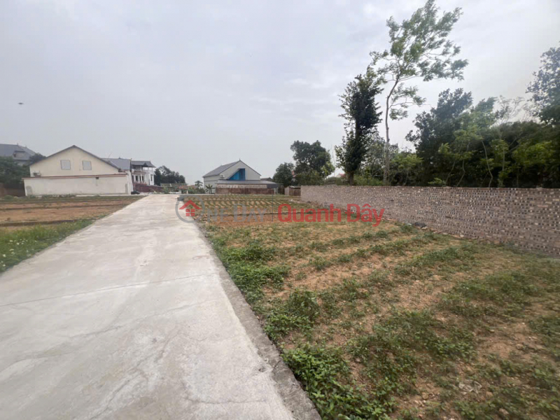 Own a beautiful 81m² plot of land in Thanh Lai, Phu Linh, Soc Son for only 2.X billion VND - Catch the rising price wave! | Vietnam, Sales đ 2.1 Billion