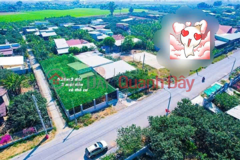 Selling grapefruit garden 528m2 with 150m2 residential land, frontage Huong Lo 9 only 4 billion 650 _0