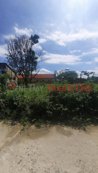 Property Search Vietnam | OneDay | Residential Rental Listings, BEAUTIFUL LAND - GOOD PRICE - Quick Sale Right Land Lot Owner Nice Location In Dien Ban, Quang Nam