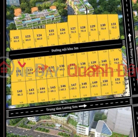 OWNER NEEDS TO SELL LAND LOT 77.6M DONG SON-CHUONG MY-HANOI _0