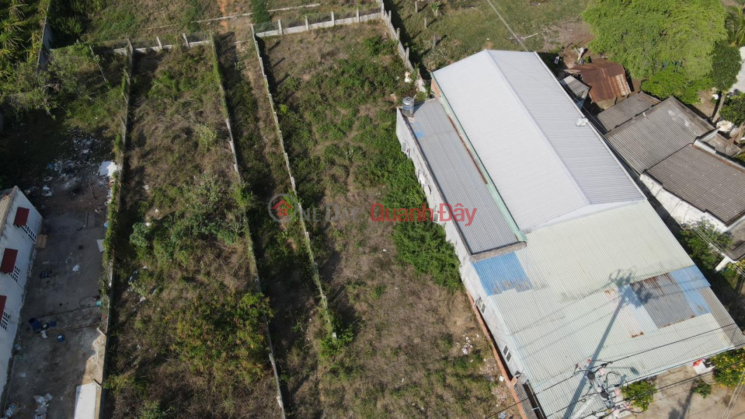 Property Search Vietnam | OneDay | Residential, Sales Listings, Owner Needs to Sell Land Lot, Beautiful Location, Front of Ngo Duc Ton Street, Ham Liem Commune, Binh Thuan