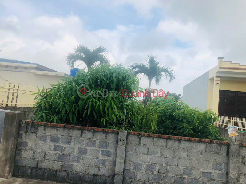 OWNER'S LAND - ROAD FRONTAGE OF Dong Tien Residential Area, Giao Thuy Town, Giao Thuy District, Nam Dinh Province, Vietnam, Sales đ 2.8 Billion