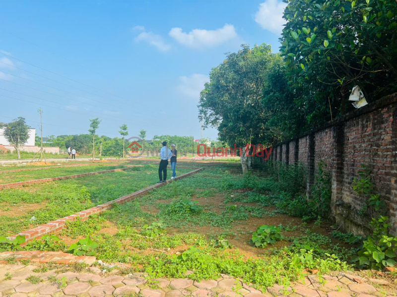  | Làm ơn chọn | Nhà ở, Niêm yết bán | đ 2,9 tỷ