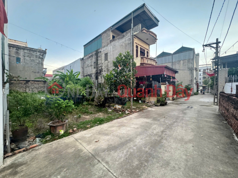 Land for sale in Co Duong, Tien Duong - 94.6m2 - Car alley - Near the edge _0