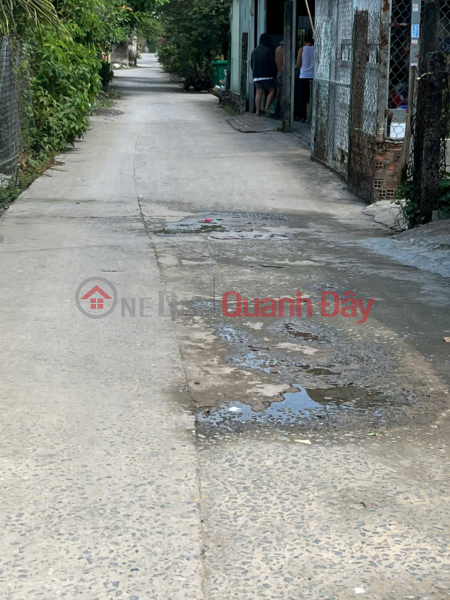 OWNER SELLING agricultural land, with land title certificate, zoned for urban residential use - Thanh Xuan Ward, District 12, Ho Chi Minh City Sales Listings