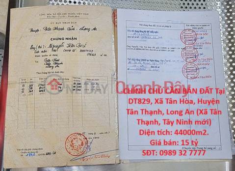 HOT ĐẦU TƯ SINH LỜI – CHÍNH CHỦ CẦN BÁN ĐẤT Tại Xã Tân Hòa, Huyện Tân Thạnh, Long An _0