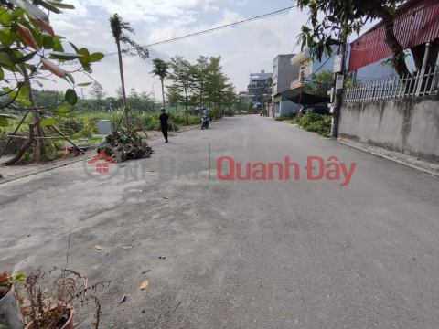 Auction land for sale X5 Nguyen Khe Dong Anh - 88m2 - Road frontage 15m _0