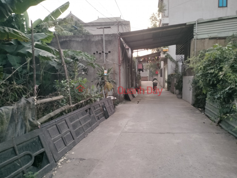 Property Search Vietnam | OneDay | Residential, Sales Listings My sister bought the land more than 10 years ago, now she needs money to sell it cheap to her brothers and sisters to invest later and get a fortune.