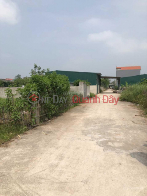 Selling 110m2 of land in Tan Dan commune, Phu Xuyen district, potential for investment. _0