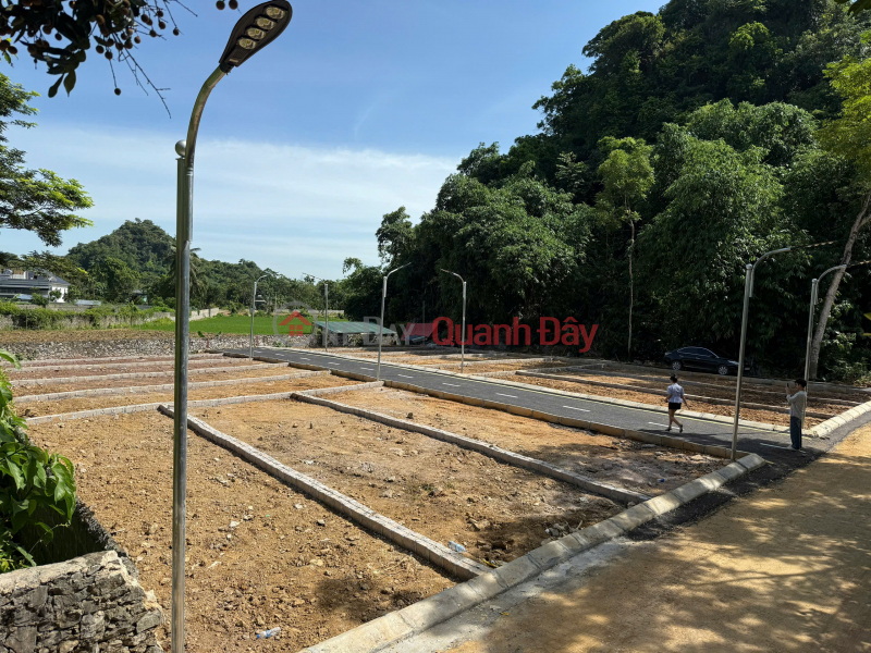  Làm ơn chọn Nhà ở | Niêm yết bán đ 500 triệu