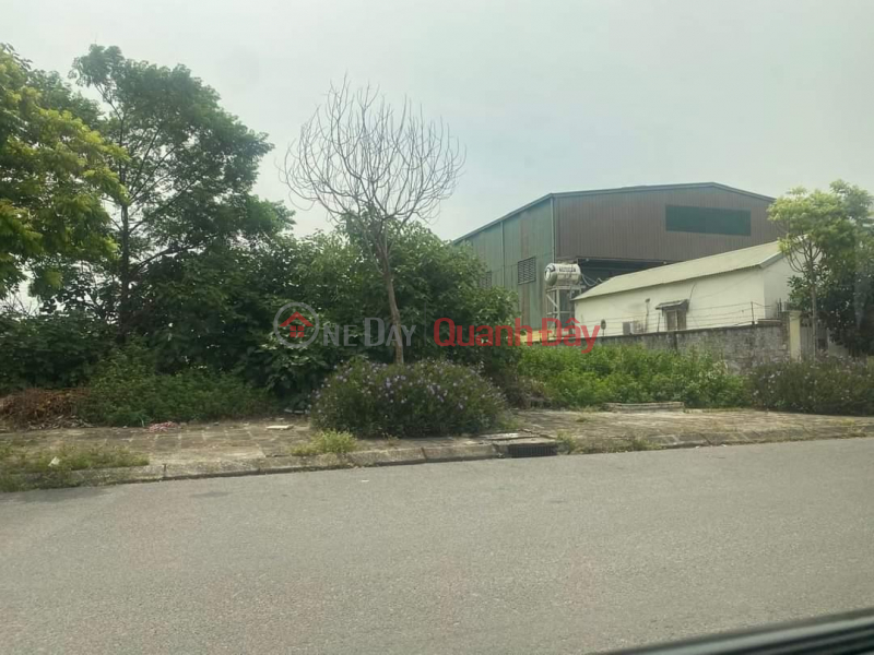 Property Search Vietnam | OneDay | Residential | Sales Listings | Selling more than 1000m2 of land in Quat Dong Industrial Park, Thuong Tin, price 9 million\\/m2