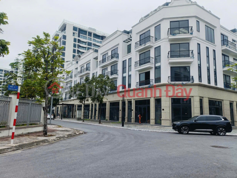 SUPERIOR CLASS OF THE UPPER CLASS - ADJACENT TO DIAMOND POINT - C14 PHUC DONG - LONG BIEN _0