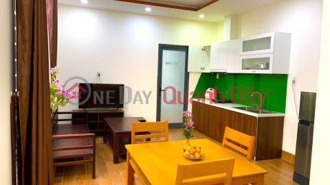 1 bedroom apartment for rent - Fully furnished near FPT University Da Nang _0