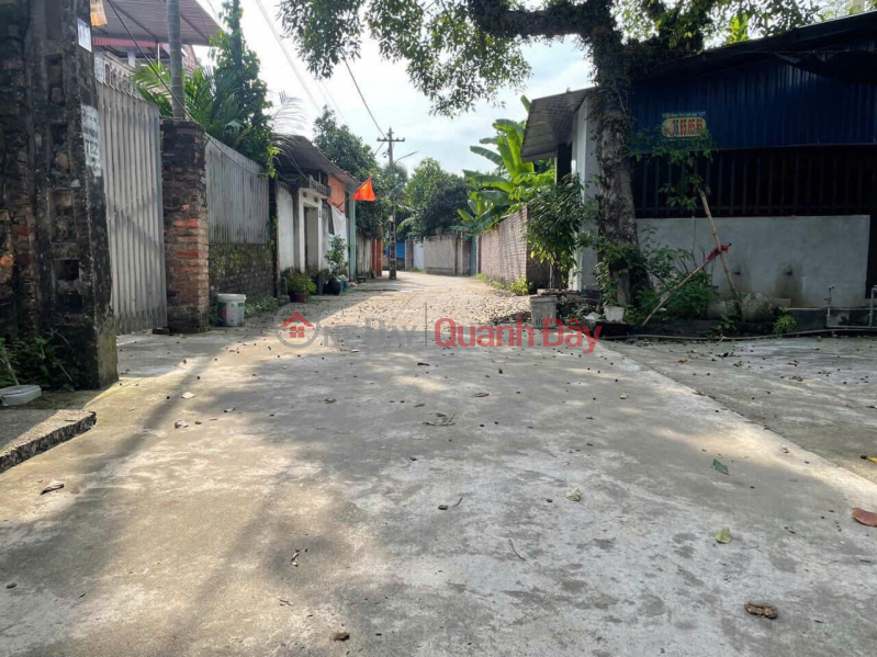 BEST PRICE IN THE MARKET, MAI DINH BUDDHA, AREA 90 M, ROAD 4.5 M WIDE, LAND LOCATION, WINNING IF YOU FALL IN MONEY, Vietnam | Sales | đ 2.75 Billion