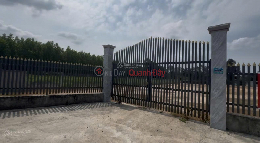 Property Search Vietnam | OneDay | Residential | Sales Listings | Owner selling 4,770m2 of land on Quách Thị Trang Street.