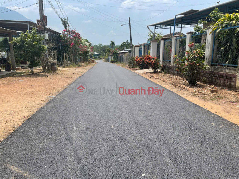 Property Search Vietnam | OneDay | Residential | Sales Listings | Dien Xuan, asphalt road frontage, price only 789 million