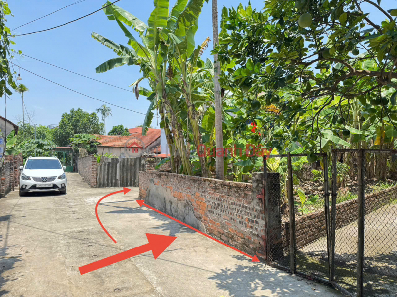 Bán đất Tiến Thịnh, Mê Linh. Lô góc, 3 mặt thoáng. Gần bến phà Chu Phan Việt Nam | Bán đ 1,95 tỷ
