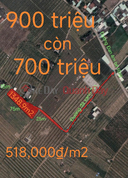 Urgent sale of Chau Thanh rice land plot, beautiful location, price too cheap, 900 million, reduced to 700 million Sales Listings