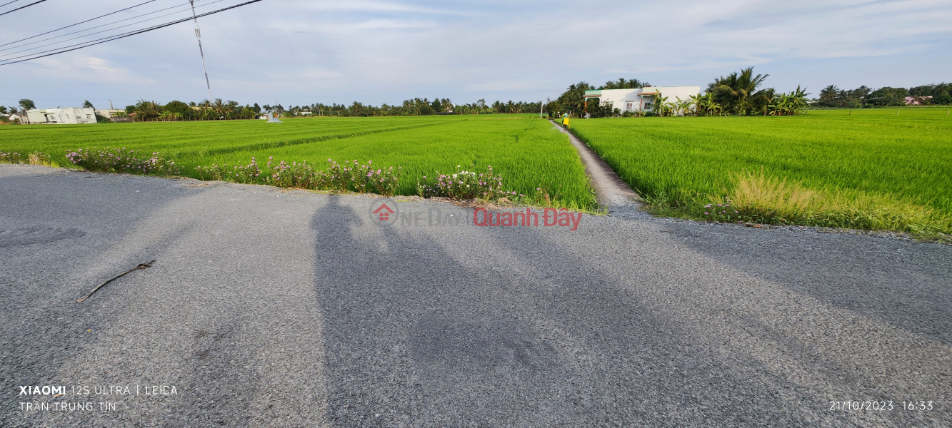 Selling a plot of rice land converted to 5m asphalt Nguyen Van Chau street for 3.3 billion Vietnam, Sales, ₫ 3.3 Billion